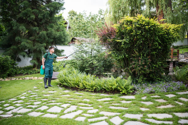 Best Affordable Pest Control Services  in Montpelier, IN