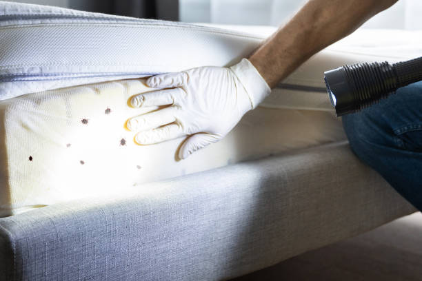 Best Mosquito Control Services  in Montpelier, IN